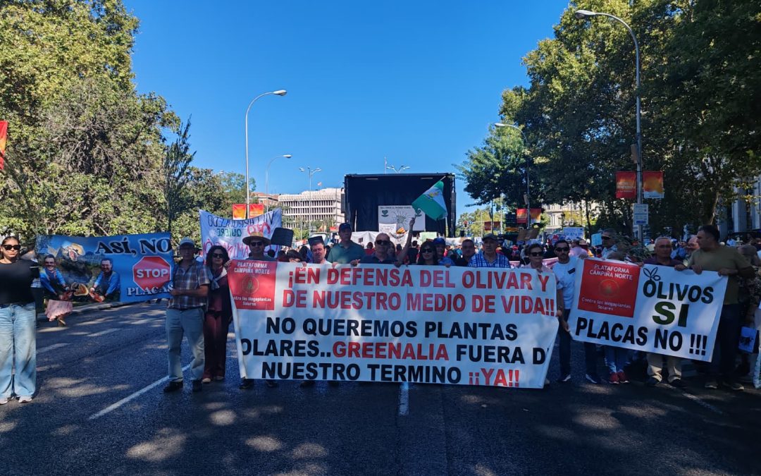 LOPERA | La Plataforma Campiña Norte alza la voz en Madrid contra megaplantas solares en Lopera