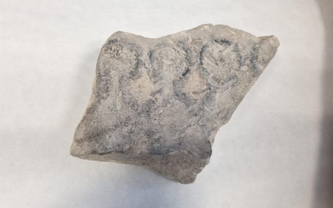 PROVINCIA || Hallan en Porcuna el primer molde para fabricar monedas de la Península Ibérica