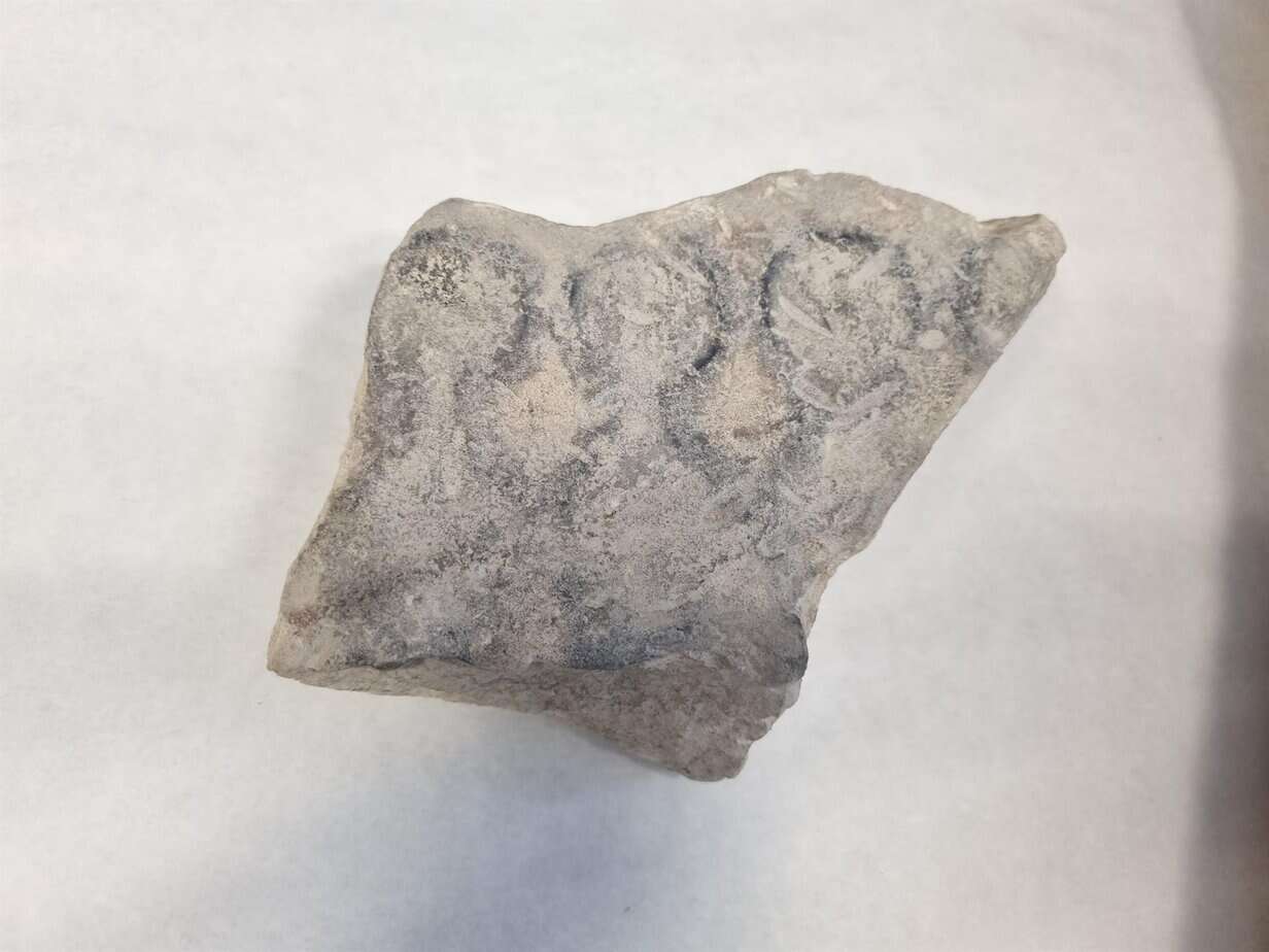 Molde para la fabricación de monedas