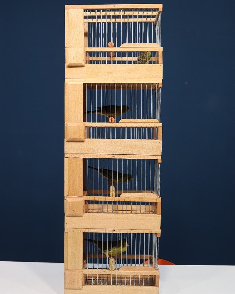 Continúan las obras del Paseo de la Libertad en Marmolejo