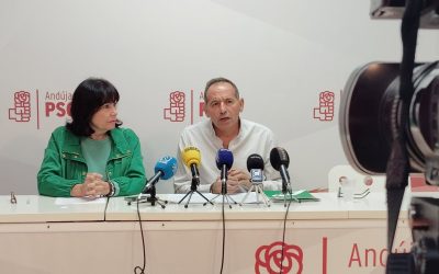 ANDÚJAR | El PSOE acusa a la Junta de “maltratar” a Andújar con unos presupuestos sin avances reales