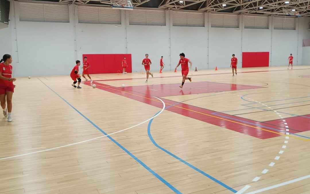 ANDÚJAR | El XXXVI Torneo de Navidad de Andújar Fútbol Sala volverá a unir deporte y solidaridad