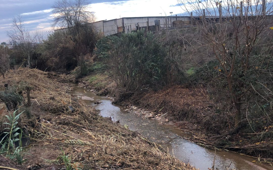 ANDÚJAR | Actuación en el arroyo Mestanza para mejorar su permeabilidad y el discurrir del agua