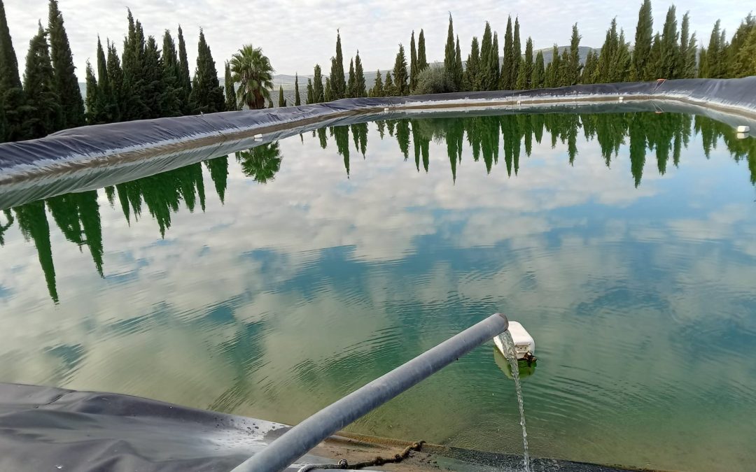 LOPERA | La balsa de Los Carrascales cierra tras superar la demanda de agua para los tratamientos de otoño