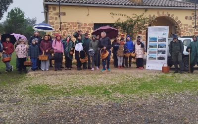MARMOLEJO | Éxito de la jornada sobre biodiversidad fúngica celebrada en la Sierra de Marmolejo
