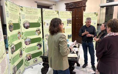 MARTOS | El proyecto escolar “Olivares Vivos” protagoniza la Fiesta de la Aceituna 2025 en Martos