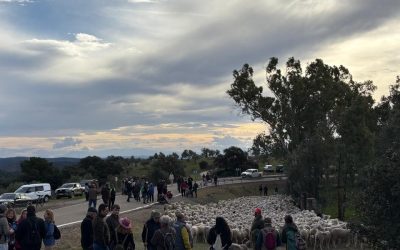 MARMOLEJO | Marmolejo reúne a más de 200 personas en las jornadas “Vive y conoce la Trashumancia”