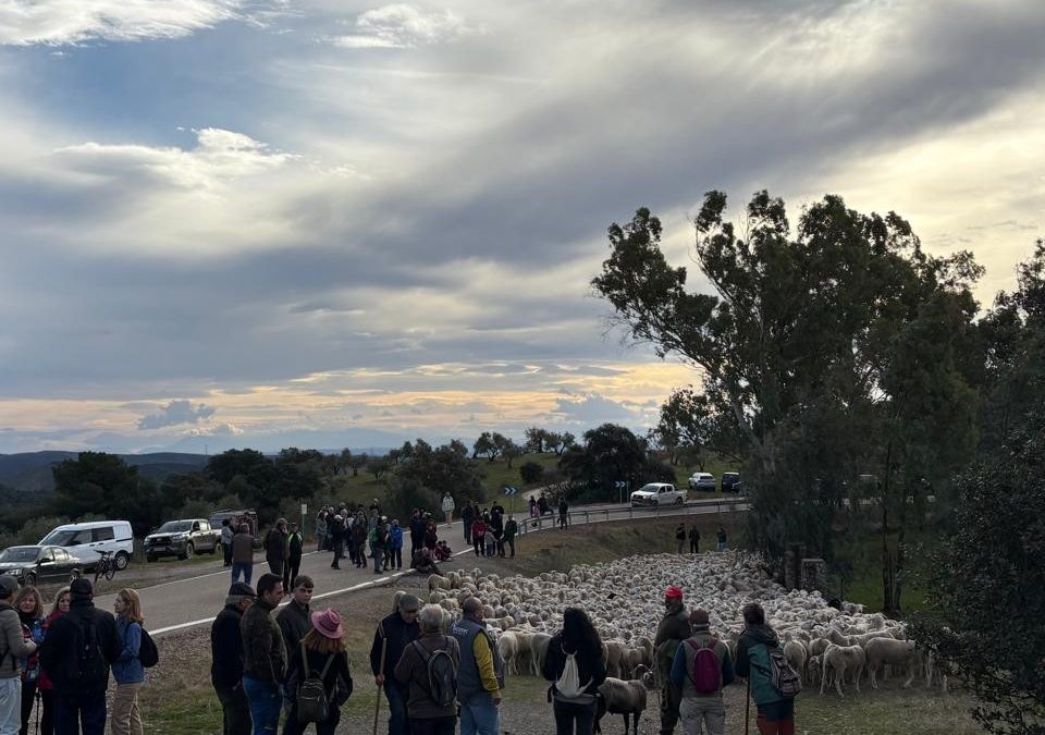 MARMOLEJO | Marmolejo reúne a más de 200 personas en las jornadas “Vive y conoce la Trashumancia”