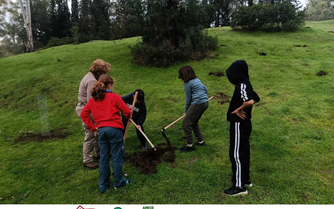 ANDÚJAR | Jóvenes de Andújar participan en una jornada de repoblación forestal en el Encinarejo