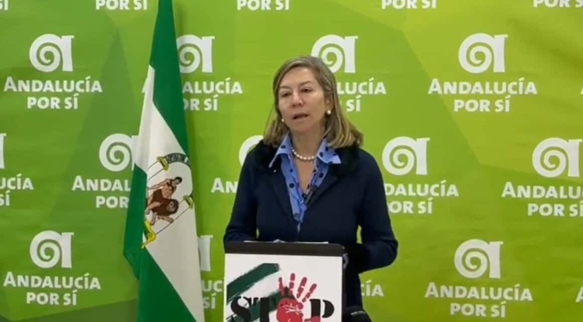 La concejala de Economía y Hacienda expone en el Pleno Municipal la Liquidación del ejercicio 2020