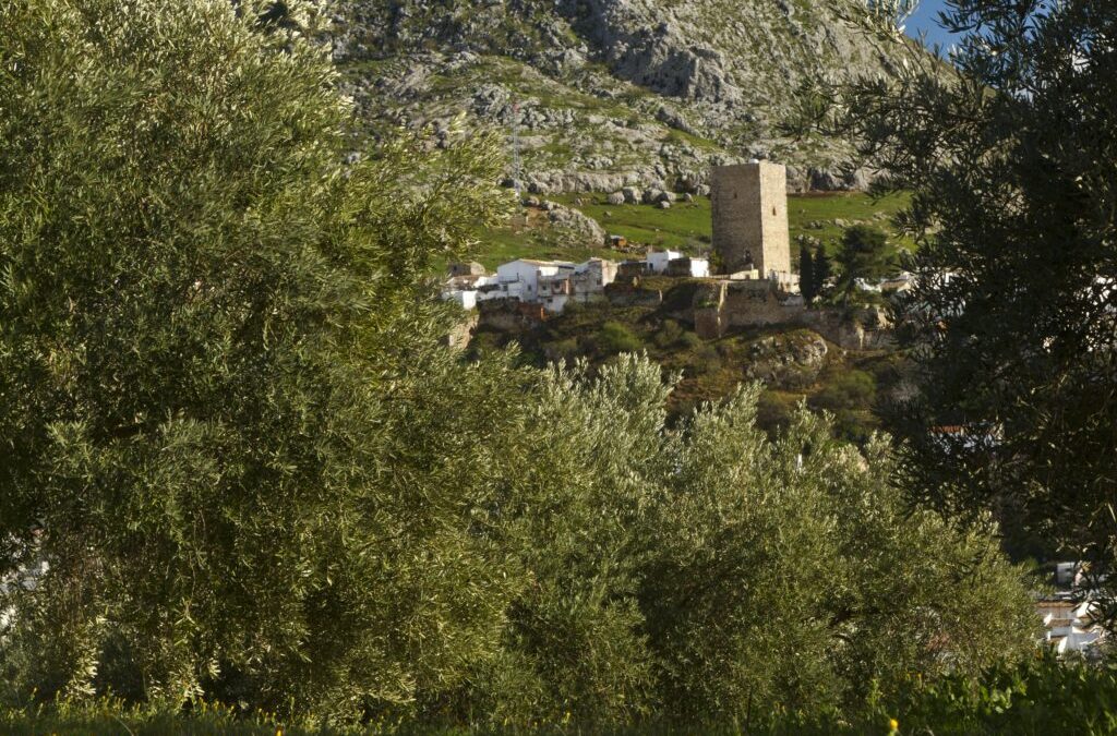 MARTOS | Martos iniciará su adhesión a la Plataforma Inteligente de Destino impulsada por la Diputación