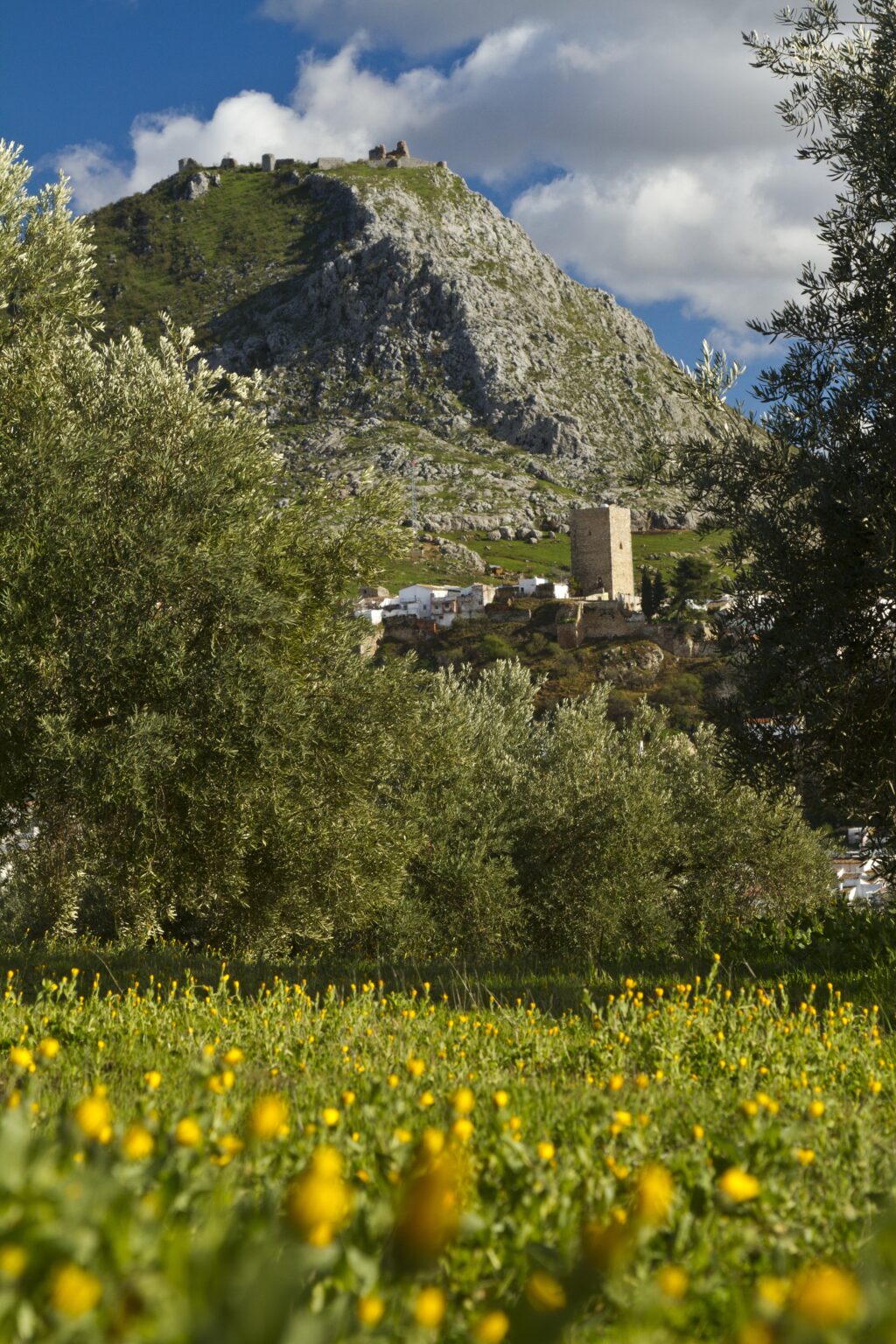 El V Cross del Víboras se celebrará el 17 de octubre