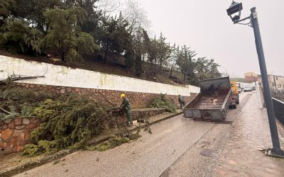 MARTOS | Martos refuerza los trabajos de prevención y mantenimiento tras el paso de la borrasca Kristin