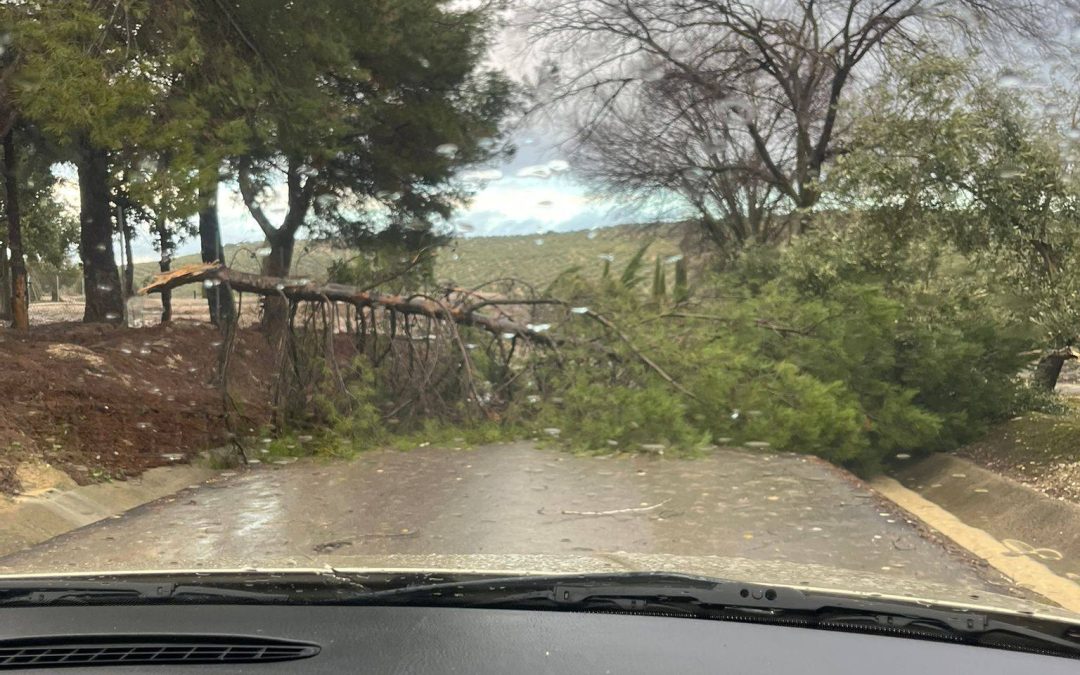 LOPERA | Cortes y circulación con precaución en carreteras aledañas a Lopera por el temporal
