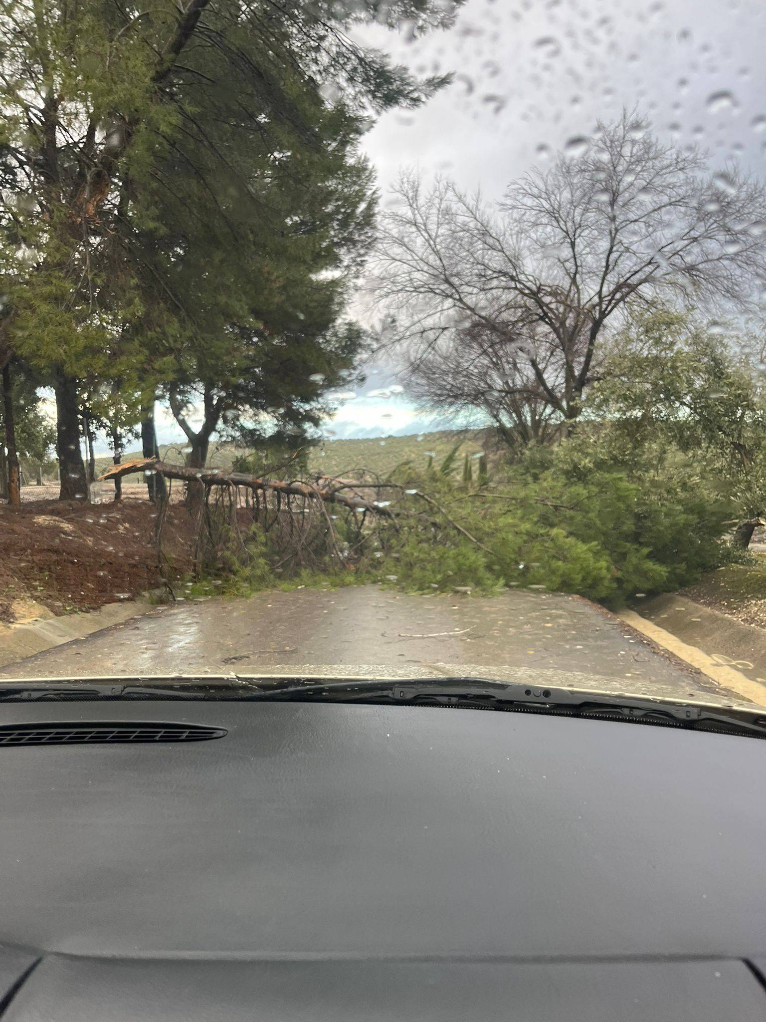 IU Lopera critica un error administrativo con una trabajadora eventual del Ayuntamiento