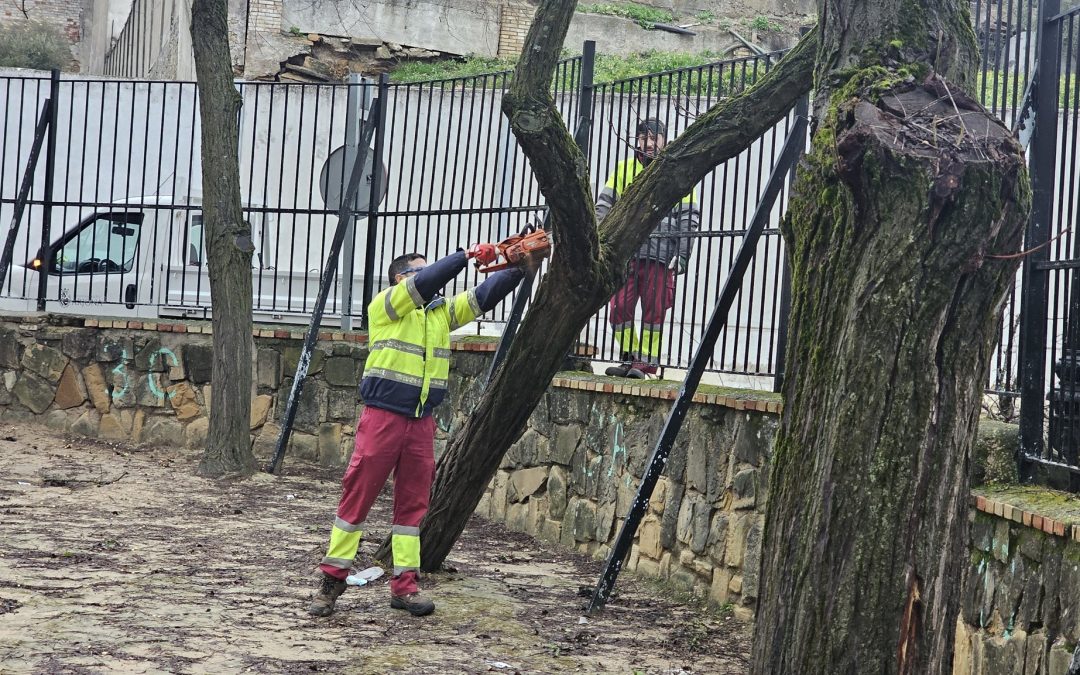 ARJONA | Arjona retira los daños del temporal mientras continúa la alerta amarilla por viento en el municipio