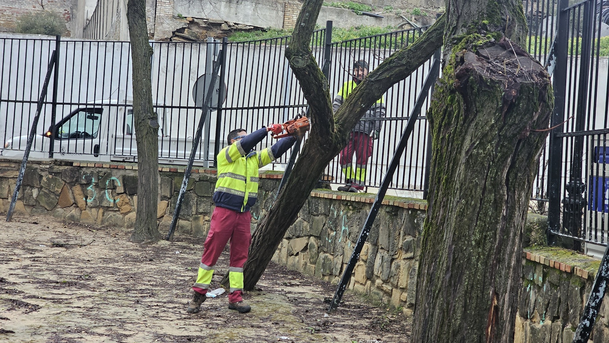 Continúan las obras del Paseo de la Libertad en Marmolejo